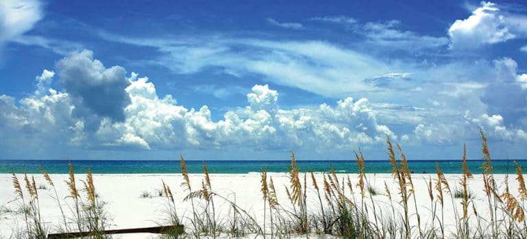 Beach Scene