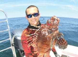 Alex Fogg Lionfish