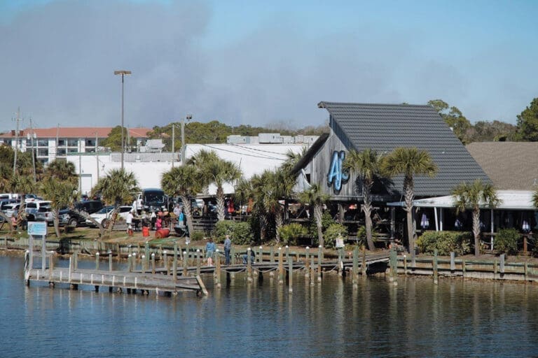 Ajs On The Bayou