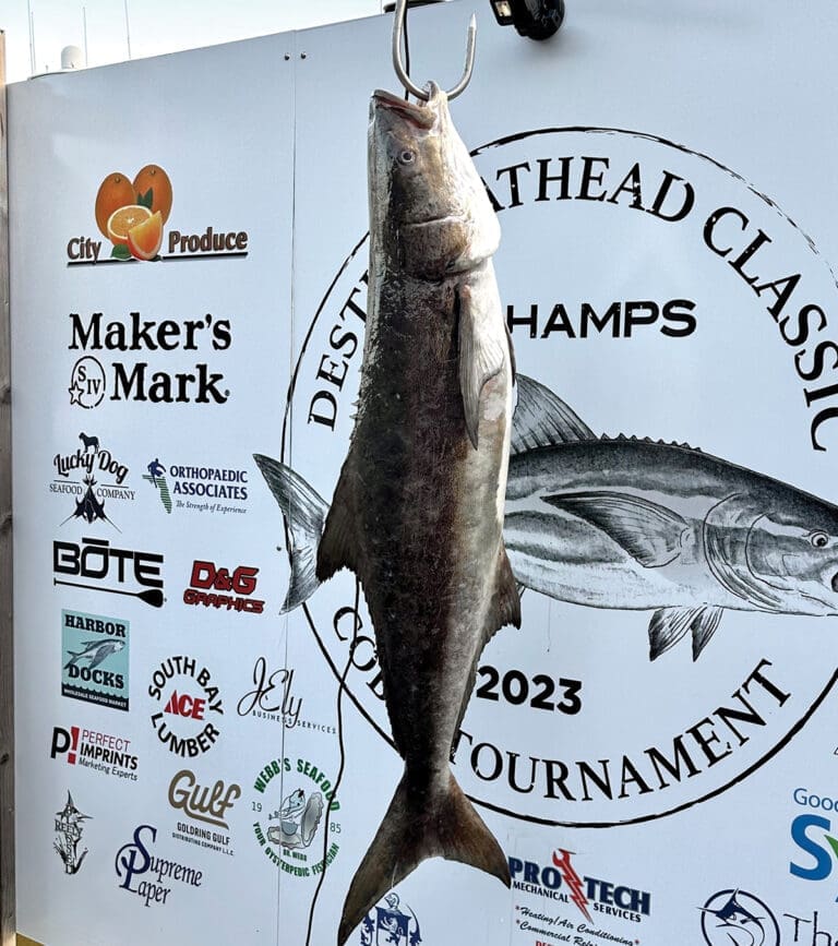 Boshamps Cobia Winner