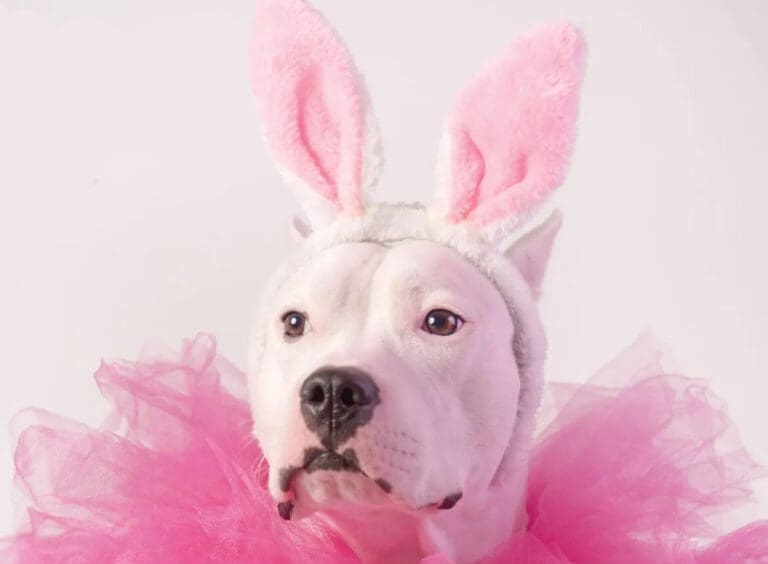Doggie Eggstravaganza 2024 Fb Event Cover