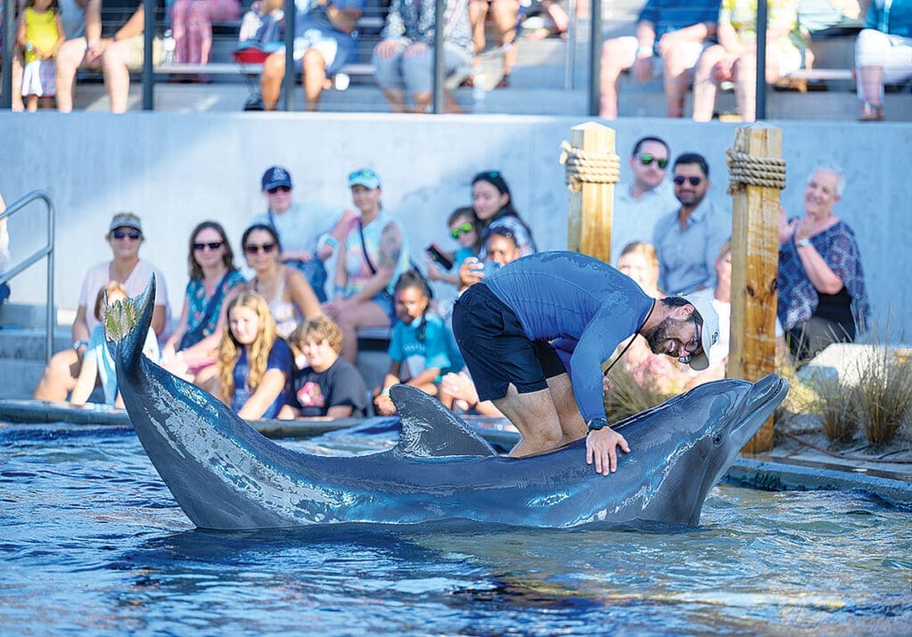 Gulfarium’s CARE on the Coast