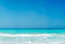 Saltwater Restaurants “Bites for Backpacks Program” Raises Nearly $3,000 Saltwater