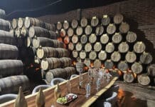 Tequila Lesson 101 Agazul Tequila