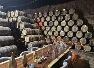 Tequila Lesson 101 Agazul Tequila