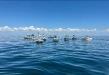 Answering the Call with Emerald Coast United Emerald Coast United Boats