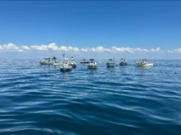 Emerald Coast United Boats