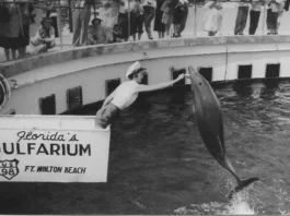 Gulfarium History