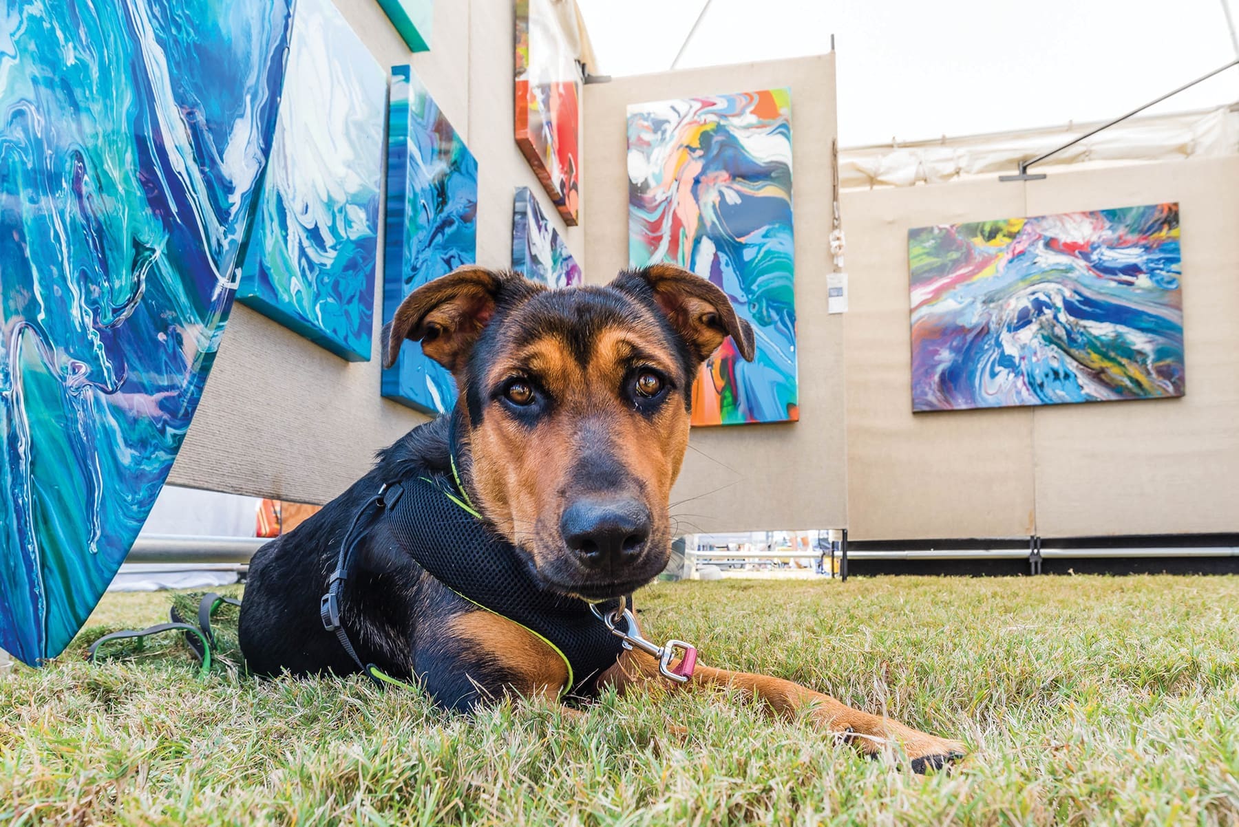 Mkaf Festival Of The Arts 042 3000