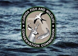 Record-Breaking Gulf Red Snapper Season in Full Swing Fish And Wildlife