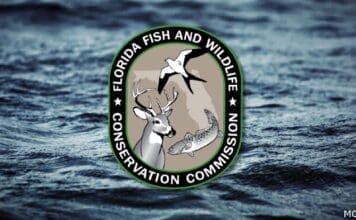 Record-Breaking Gulf Red Snapper Season in Full Swing Fish And Wildlife