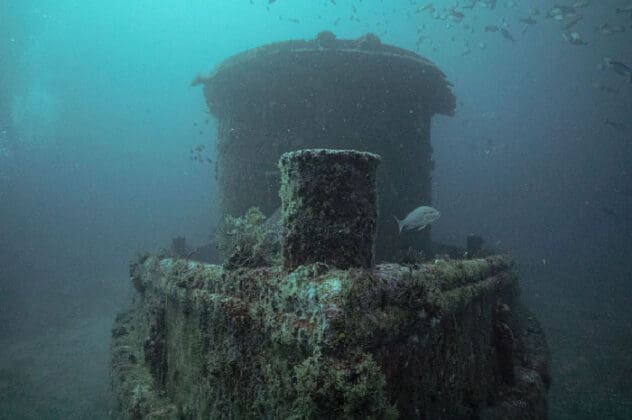 Alex Fogg Artificial Reefs 0003 Layer 2