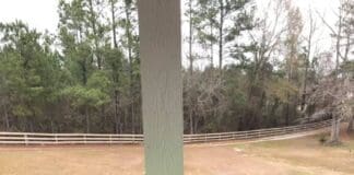 When a Little Extra Help Can Make All the Difference Home Companion 7