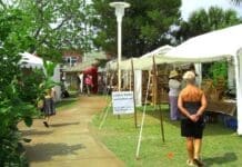 D012339de26a4f0cb53e64d4b2c134f1