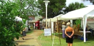 D012339de26a4f0cb53e64d4b2c134f1