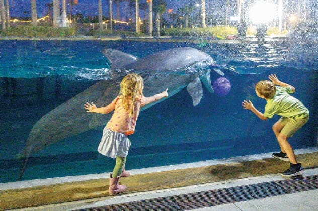 Gulfarium Oasis 0003 The Gulfarium Dolphin Oasis Ribbon Cutting 3 8 2024 Brian Douglas Photography Llc 22 Of 22