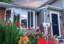 Fish Home Windows Istock 1503144922