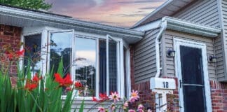 Fish Home Windows Istock 1503144922