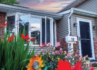 Fish Home Windows Istock 1503144922