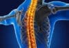 What Is Chiropractic? Understanding the Connection Between Your Spine, Nervous System, and Overall Health 6 26 Reset Room Photo
