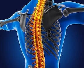 What Is Chiropractic? Understanding the Connection Between Your Spine, Nervous System, and Overall Health 6 26 Reset Room Photo