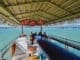 Crab Island Express Helps Locals Rediscover Crab Island Destin Private Tiki 3