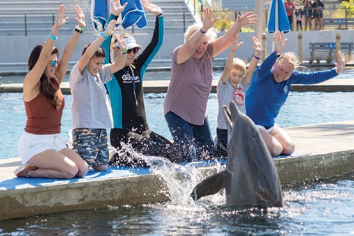 Gulfarium Discover Dolphins Gulfarium Discover Dolphins