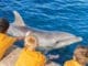 New Encounters and Old Friends: A Summer to Remember at Gulfarium Gulfarium Sunset Camp
