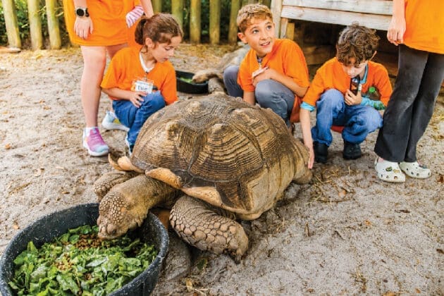 Gulfarium Kids With Tortoise