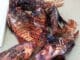 Emerald Coast Open Removes More Than 20,000 Lionfish Lionfish2