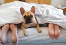 Your Best Medicine Might Be a Good Night’s Sleep Sleep Istock 166272951