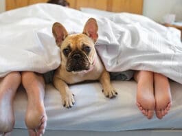Sleep Istock 166272951