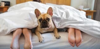 Your Best Medicine Might Be a Good Night’s Sleep Sleep Istock 166272951