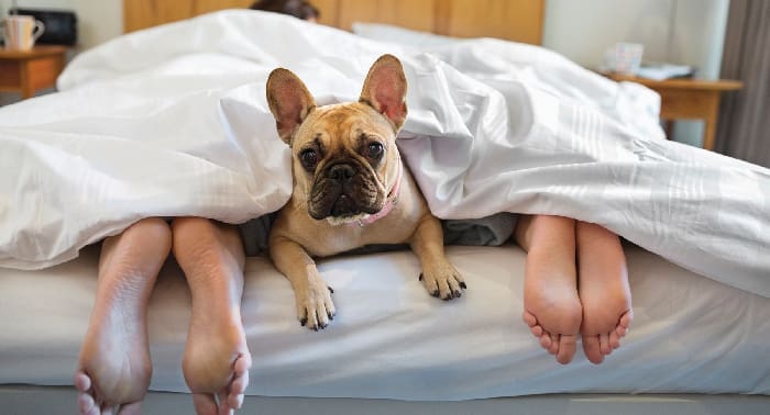 Sleep Istock 166272951 Sleep Istock 166272951